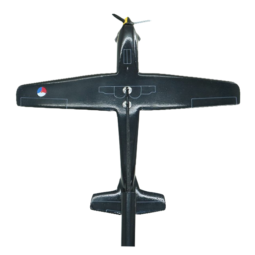 Royal Netherlands Air Force PC-7 Briefing Stick - View 6