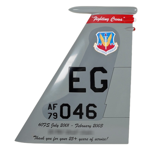 60 FS F-15 Airplane Tail Flash - View 2