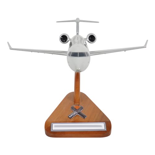 American Eagle Bombardier CRJ-701 Custom Aircraft Model - View 3