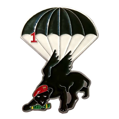 1-319 AFAR Commander Challenge Coin