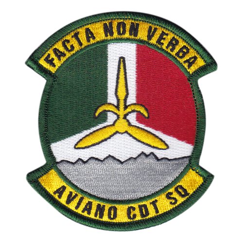 CAP Aviano Cadet Squadron Patch