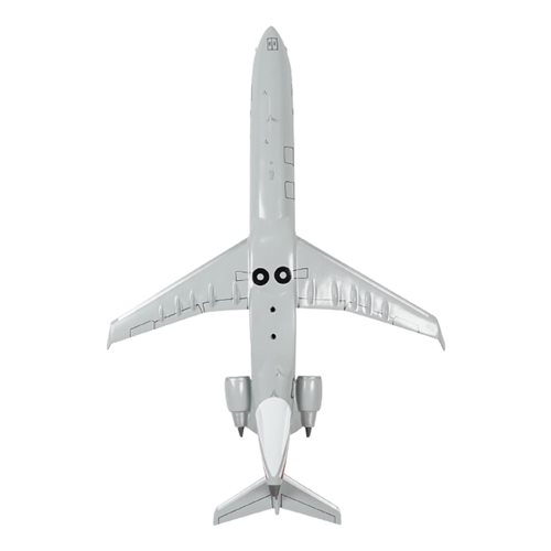 American Eagle Bombardier CRJ-900 Custom Aircraft Model - View 7