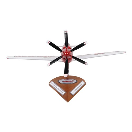 RB-51 Custom Aircraft Model - View 3