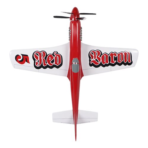 RB-51 Custom Aircraft Model - View 6
