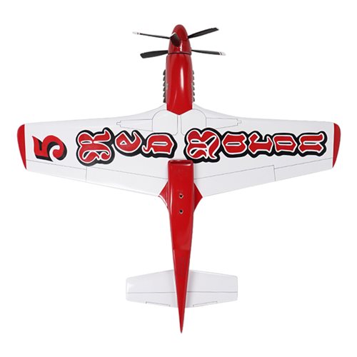 RB-51 Custom Aircraft Model - View 7