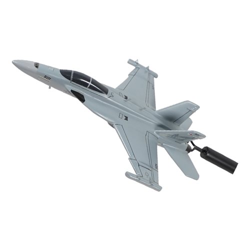 VAQ-131 E/A-18G Growler Custom Airplane Model Briefing Sticks