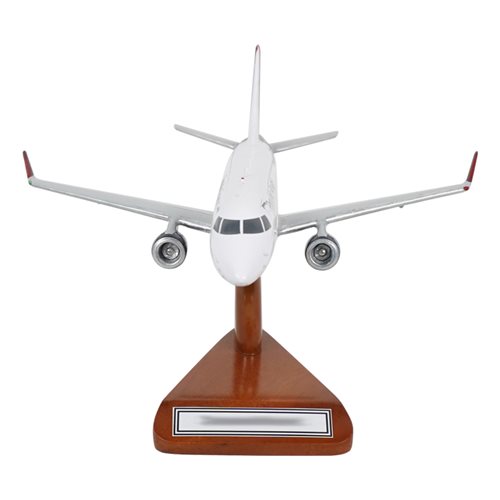 Republic Airways Embraer 175LR Custom Aircraft Model - View 3