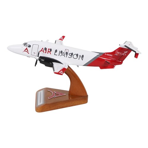 SkyJet 1900D Custom Aircraft Model - View 2