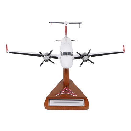 SkyJet 1900D Custom Aircraft Model - View 3