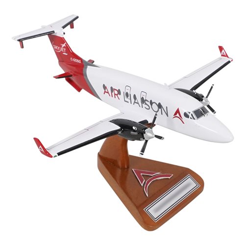 SkyJet 1900D Custom Aircraft Model - View 5