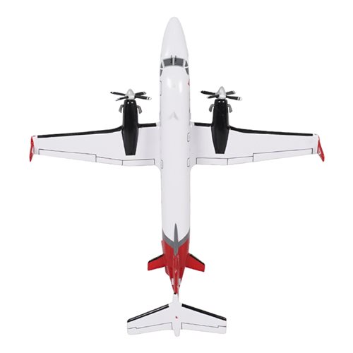 SkyJet 1900D Custom Aircraft Model - View 6
