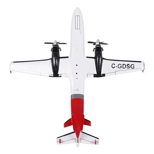 SkyJet 1900D Custom Aircraft Model - View 7