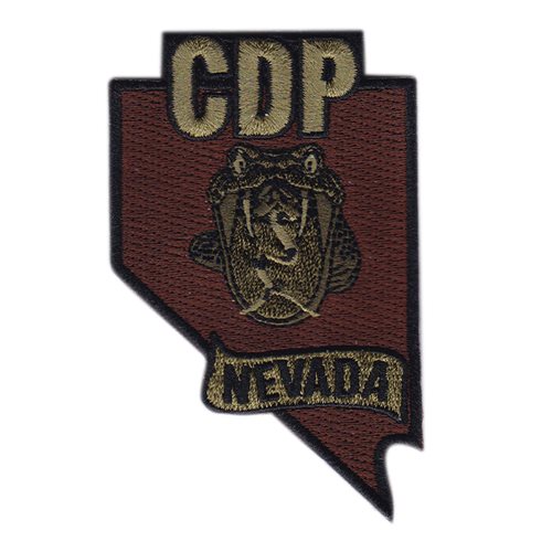 HQ Nevada ANG Patch