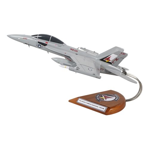 VAQ-134 EA-18G Custom Airplane Model  - View 2