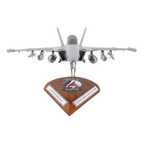 VAQ-134 EA-18G Custom Airplane Model  - View 3