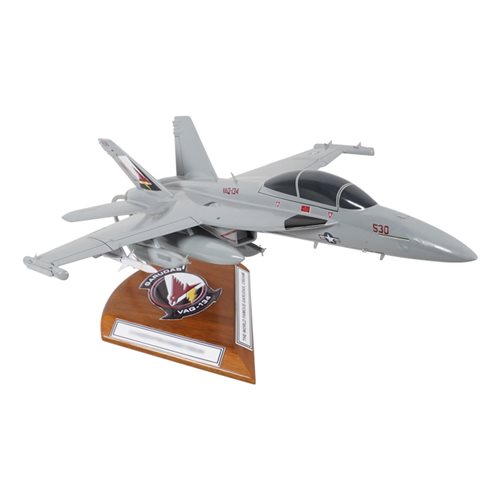 VAQ-134 EA-18G Custom Airplane Model  - View 5