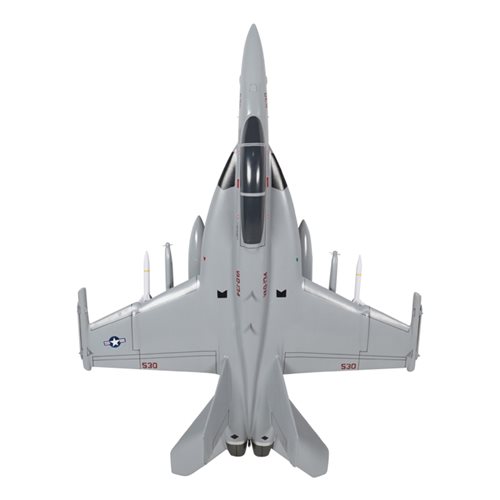 VAQ-134 EA-18G Custom Airplane Model  - View 6