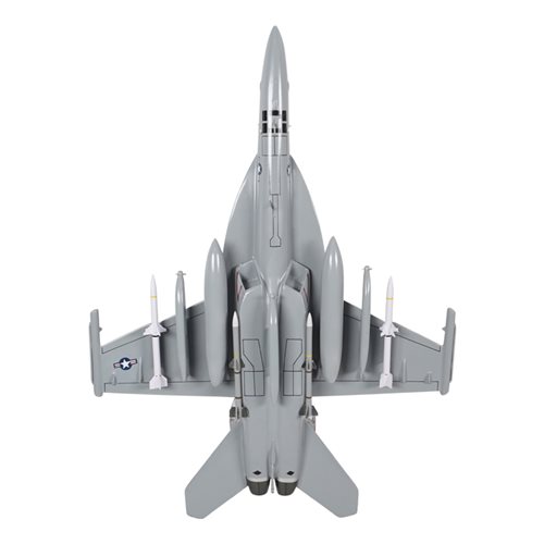 VAQ-134 EA-18G Custom Airplane Model  - View 7