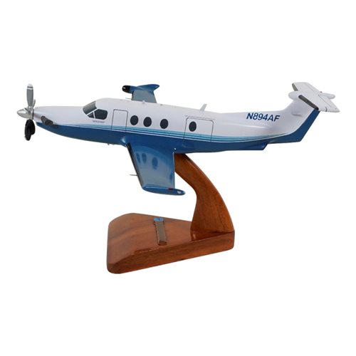 Design Your Own Pilatus PC-12-47E Custom Airplane Model - View 2