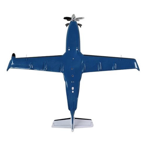 Design Your Own Pilatus PC-12-47E Custom Airplane Model - View 8