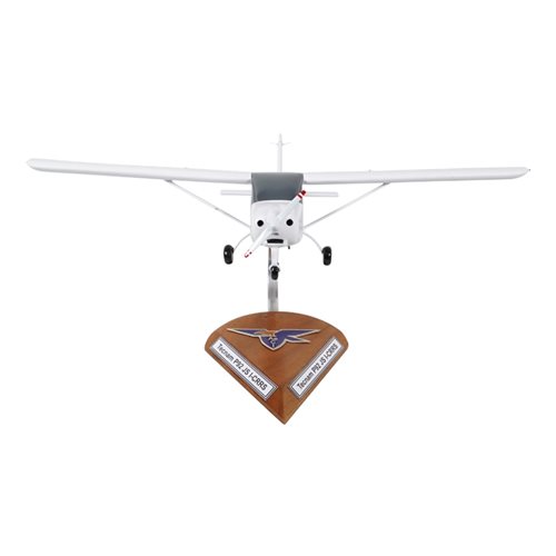 Tecnam P92 Echo JS Custom Aircraft Model - View 3