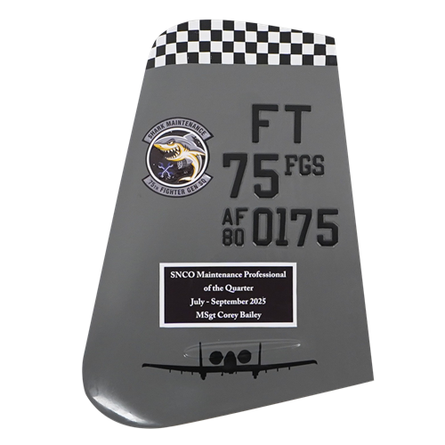 75 FGS A-10 Airplane Tail Flash