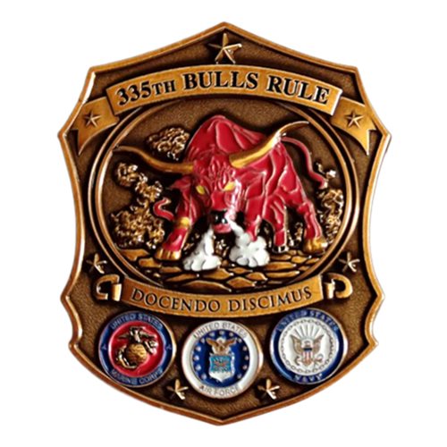 355 TRS Bulls Rule Challenge Coin