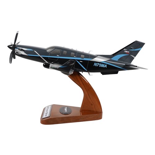 SOCATA TBM 960 Airplane Model - View 2