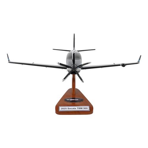 SOCATA TBM 960 Airplane Model - View 3