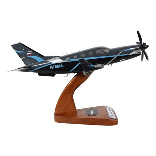 SOCATA TBM 960 Airplane Model - View 4