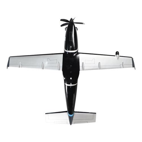 SOCATA TBM 960 Airplane Model - View 7