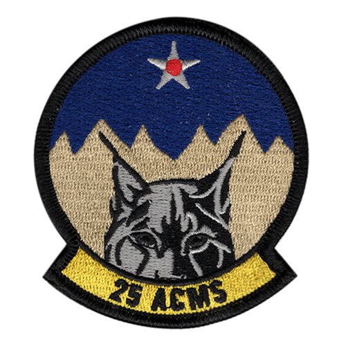 25 ACMS Patch
