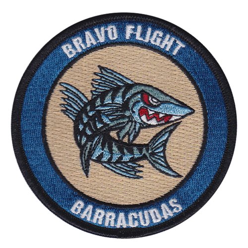 17 OWS Bravo Flight Patch
