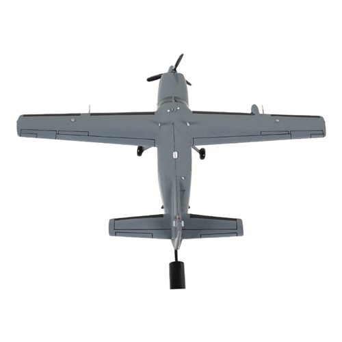 Iraqi Air Force Cessna AC-208 Airplane Briefing Stick  - View 6