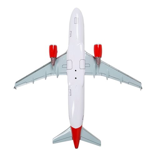 Airbus A320-214 Custom Airplane Model  - View 7
