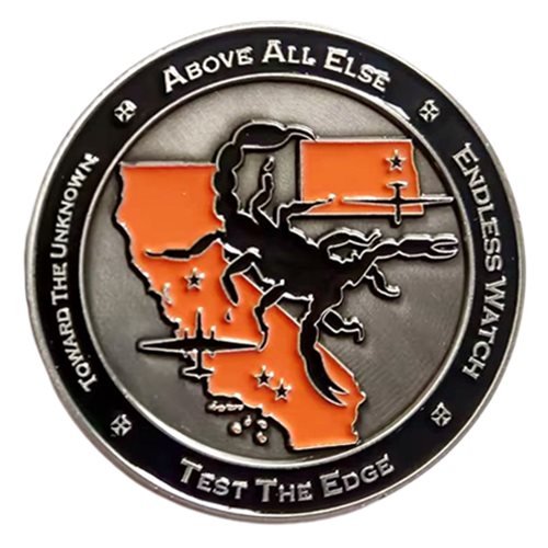 410 TES Recce Ravens Challenge Coin - View 2
