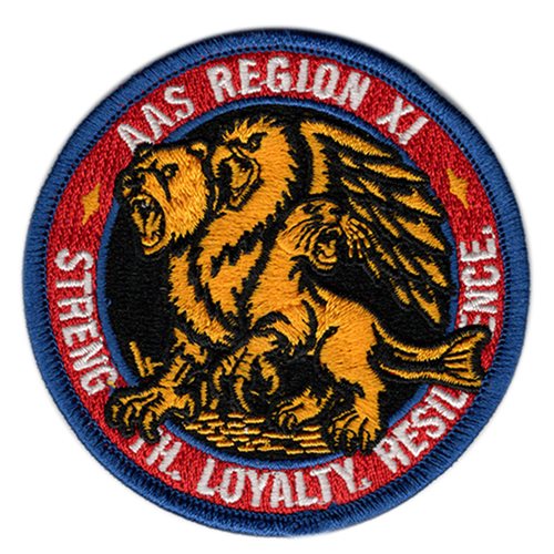 AFROTC Det 001 AAS Region Patch
