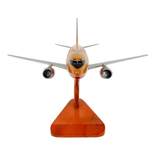 Boeing 737-5H4 Custom Airplane Model  - View 3