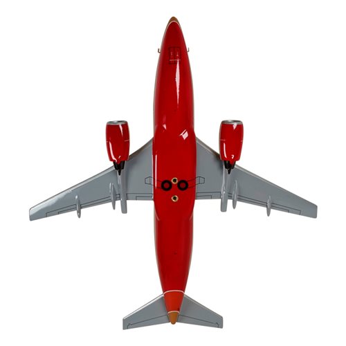 Boeing 737-5H4 Custom Airplane Model  - View 7