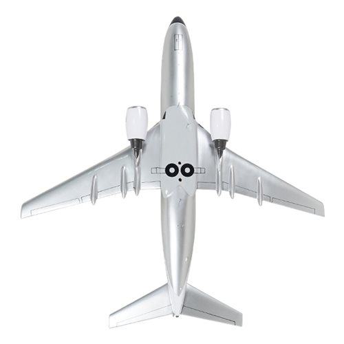 Boeing 737-347 Custom Airplane Model - View 7
