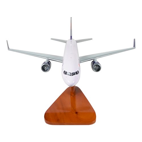Boeing 757-351(WL)Custom Airplane Model - View 3