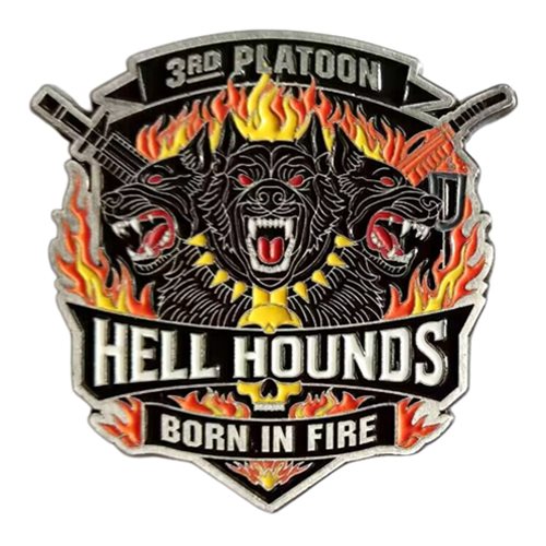 493 PSC 18 CSSB 3 PLT Hellhounds Challenge Coin