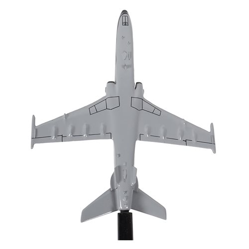 No. 79 SQ BAE Systems Hawk 127 Airplane Model Briefing Sticks - View 6
