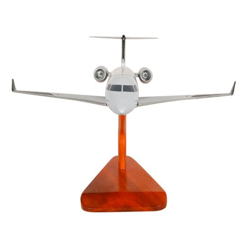 Embraer Praetor 600 Custom Airplane Model  - View 3