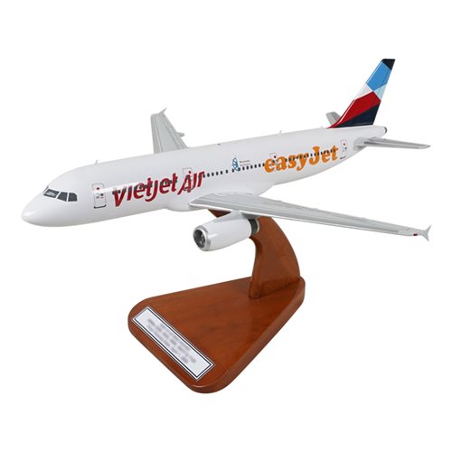 Airbus A321 Custom Airplane Model 