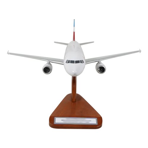 Airbus A321 Custom Airplane Model  - View 3