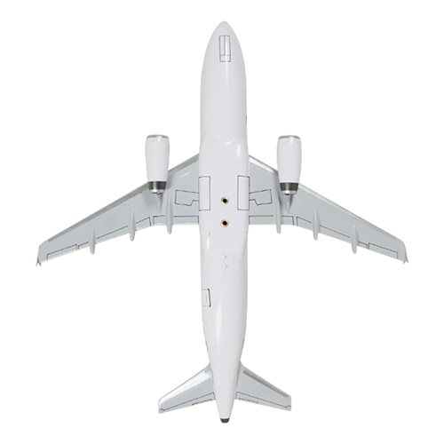 Airbus A321 Custom Airplane Model  - View 7