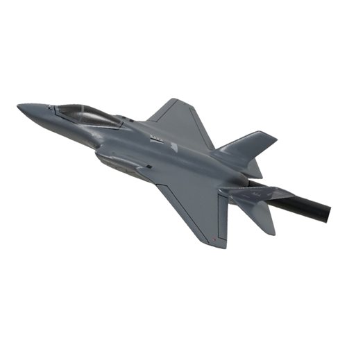 131 FS F-35A Custom Airplane Briefing Stick