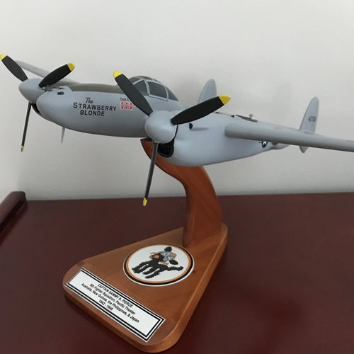 Design Your Own P-38 Airplane Model  - View 10