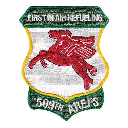 509 AREFS Patch 